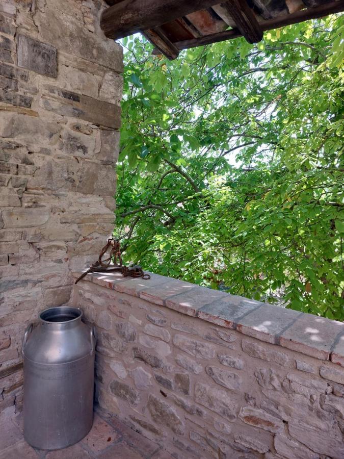 فيلا Rocca Castrignano Riano  المظهر الخارجي الصورة